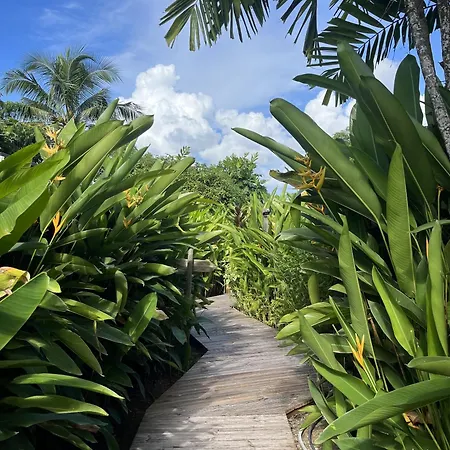 Eden Paradise Spa Ecolodge-3